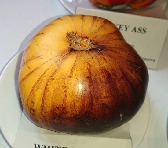 Белое в синем